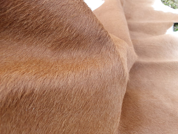 XL CAMEL BEIGE Cowhide Rug Cow skin Leather Carpet Cow Hide Area Rug Tapi peau de vache