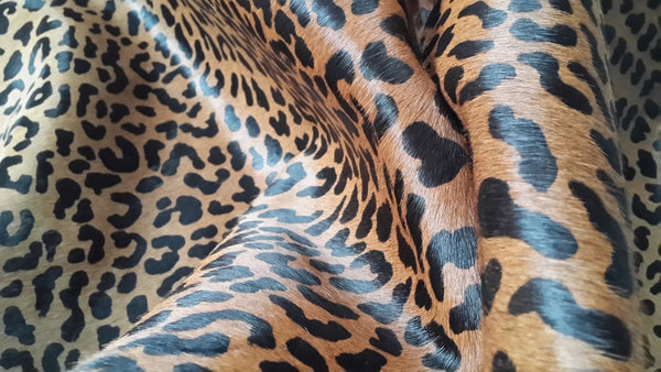 Cowhide Rug LEOPARD PRINT !. Unique! XL! a434 6.7 x 6.4 ft Peau de léopard. Piel de Vaca