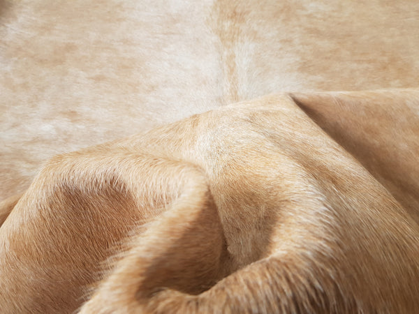 XXL CARAMEL Cowhide Rug Unique  Peau de Vache. Piel de Vaca Cow Skin Cow Hide Rug