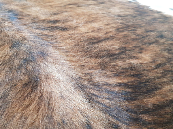 LARGE BRINDLE GORGEOUS Cowhide Rug Peau de Vache. Piel de Vaca