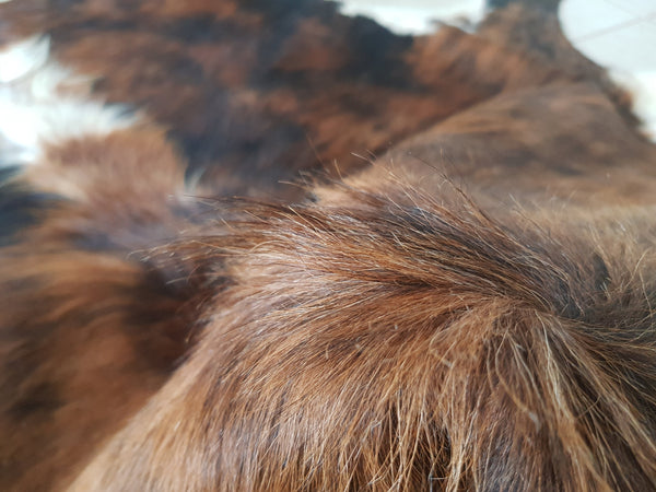 LARGE BRINDLE GORGEOUS Cowhide Rug Peau de Vache. Piel de Vaca