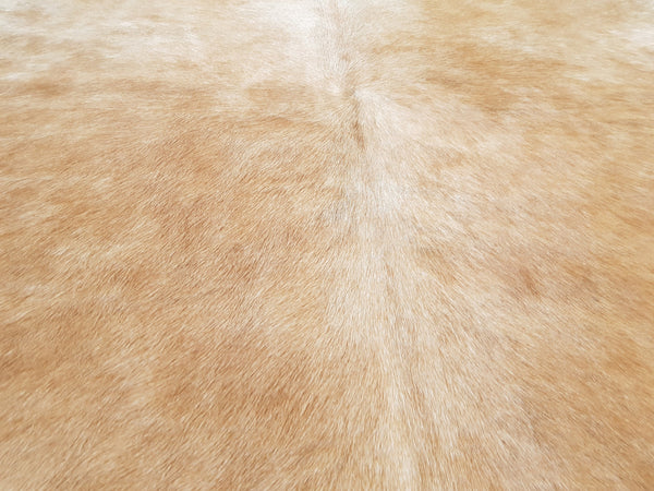 XXL CARAMEL Cowhide Rug Unique  Peau de Vache. Piel de Vaca Cow Skin Cow Hide Rug