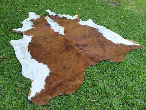 XL TRICOLOR Cowhide Rug. Amazing!