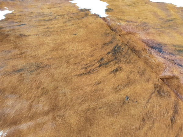 XL TRICOLOR Cowhide Rug. Amazing!