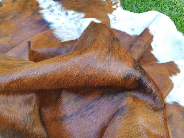 XL TRICOLOR Cowhide Rug. Amazing!