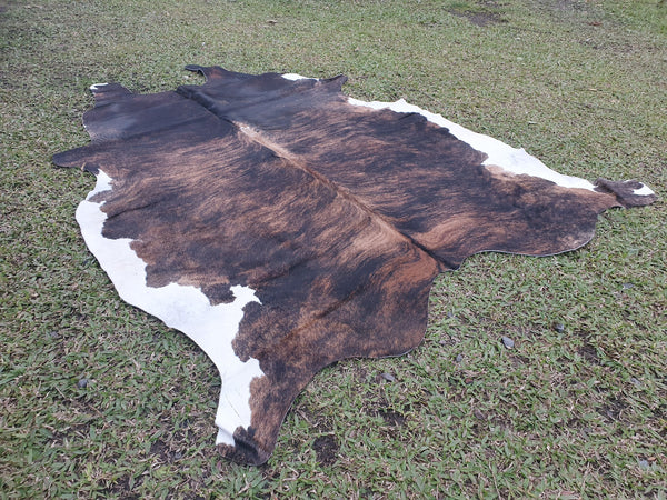 LARGE BRINDLE Cowhide Rug Gorgeous! Unique!  Peau de Vache Super Sale!!
