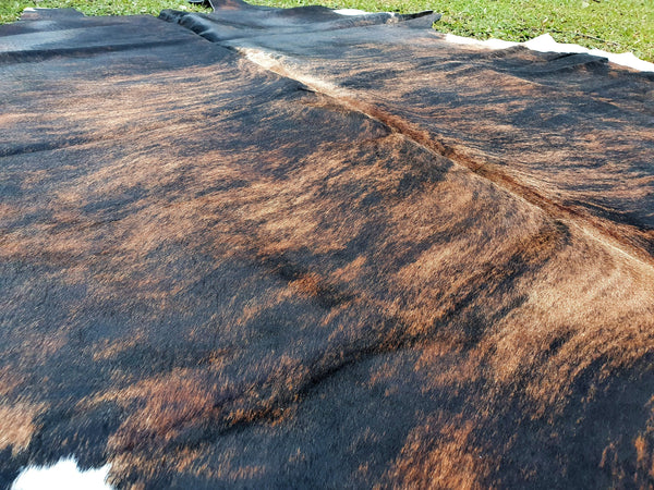 LARGE BRINDLE Cowhide Rug Gorgeous! Unique!  Peau de Vache Super Sale!!