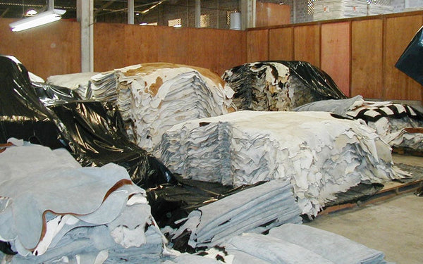 Cowhide Rug ZEBRA BLACK WHITE Unique!  a427 7.2 x 6.2 ft Peau de Vache Imprimée  Piel de Vaca Impresa Cebra