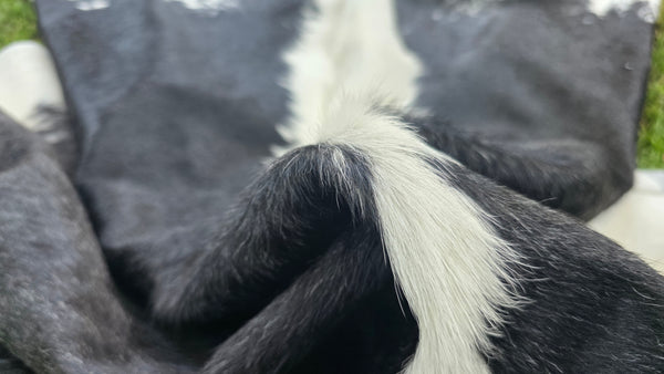 XL BLACK  Cowhide Rug Peau de Vache. Tapis gris