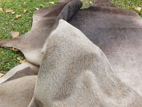 GRAY GORGEUS XL Cowhide  Peau de Vache  Piel de Vaca Cow Hide Rug