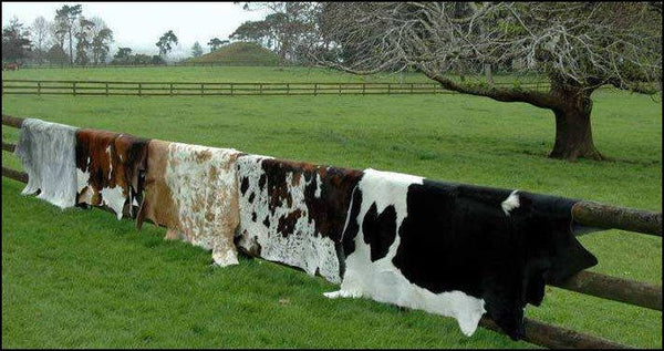 Cowhide Patchwork Rug 6x8ft (1.8 x 2.4m) Tapis Peau de Vache